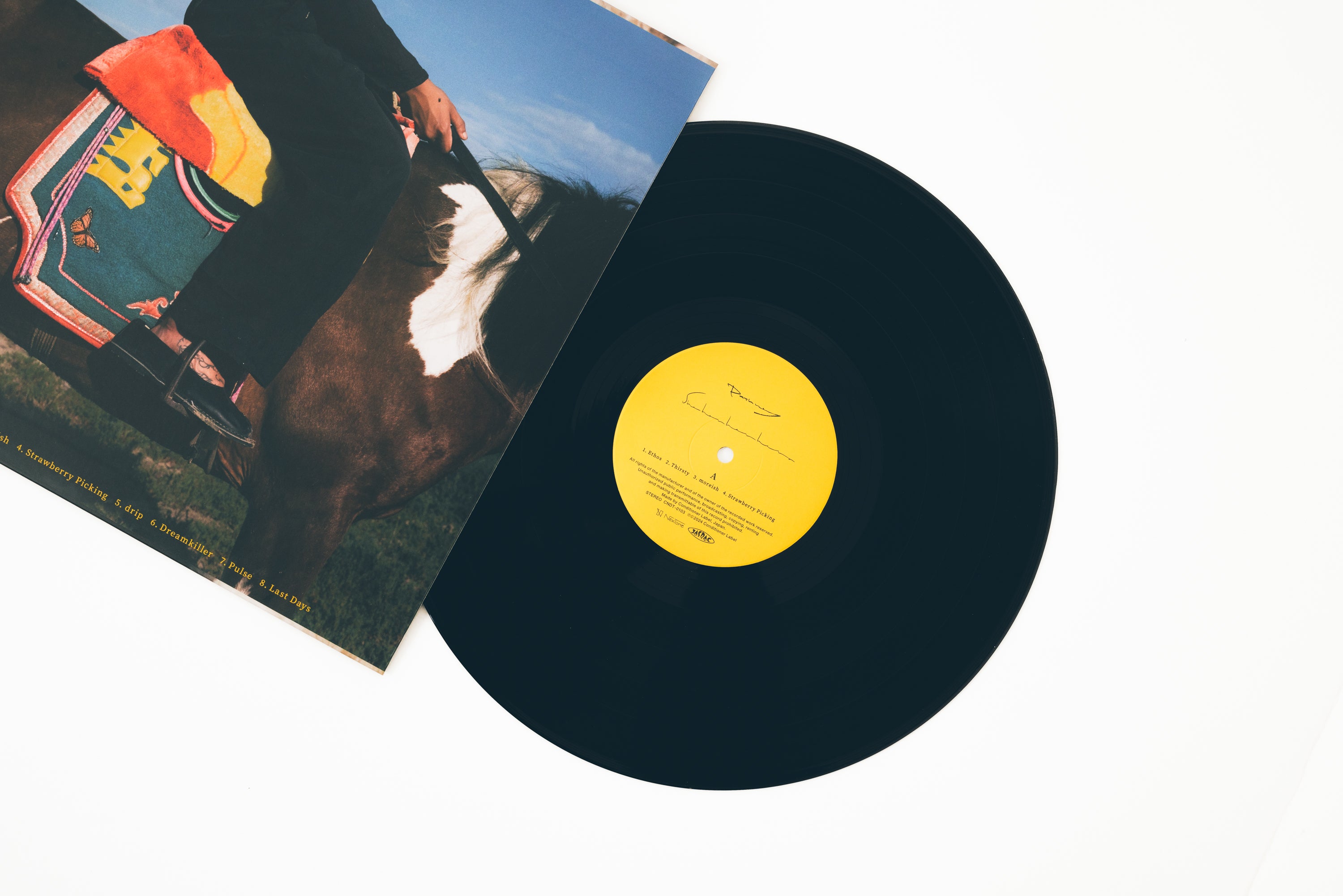 Vinyl – She Her Her Hers Online Shop